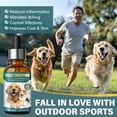 thumbnail image 2 of Yeast Infection Treatment For Dogs, Yeast Infection Drops For Dogs, 2 oz, 2 of 8