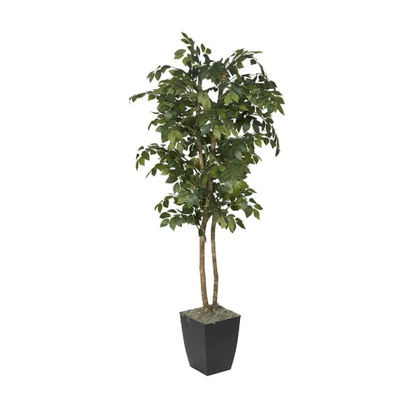 D & W Silks 6' Sakaki Tree in Black Metal Planter