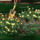 thumbnail image 5 of Nvzi Bolsa de cultivo elevada de plástico de 23 galones para plantas, con 4 rejillas divisorias, macetas cuadradas para tomates, verduras y flores, paquete de 2 unidades., 5 of 5