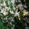 thumbnail image 4 of 100Fens Solar Flower Lights Outdoor, Solar Flowers Garden Decorative Lights Led Landscapes Stake Lights Auto On/Off Bright Up To 8 Hrs, 4 of 6