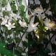 thumbnail image 4 of onlyliua para Interior/Exterior Luce Solar En Flores para Exteriores, Luces Decorativas En Jardín En Flores Solares, Luces Led En Paisajes, Luces En Estaca En Encendido y Apagado Automático, Brillo d, 4 of 6
