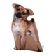thumbnail image 5 of Almohada de simulación, cojín para reposacabezas, cojín para sofá, peluches perro nativo, 5 of 9