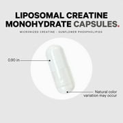 Codeage Liposomal Creatine Monohydrate Capsules, Micronized Creatine 2500mg Sports Nutrition, 360 ct