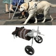 thumbnail image 4 of Fauteuil Roulant pour Animaux, Réhabilitation de Chien, Trottinette à Deux Roues avec Bandes Réfléchissantes, Fournitures pour Réhabilitation de Chien, Marche, Jambes Arrière, 4 of 8
