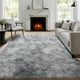 thumbnail image 5 of Area Rug PAGISOFE Alfombra de felpa suave y peluda, 183 x 274 cm, 5 of 9