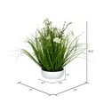 thumbnail image 3 of Vickerman VICK-FV190416 Vickerman 16,5 Pouces Herbe de Cosmos en Pot Crème - FV190416, 3 of 3