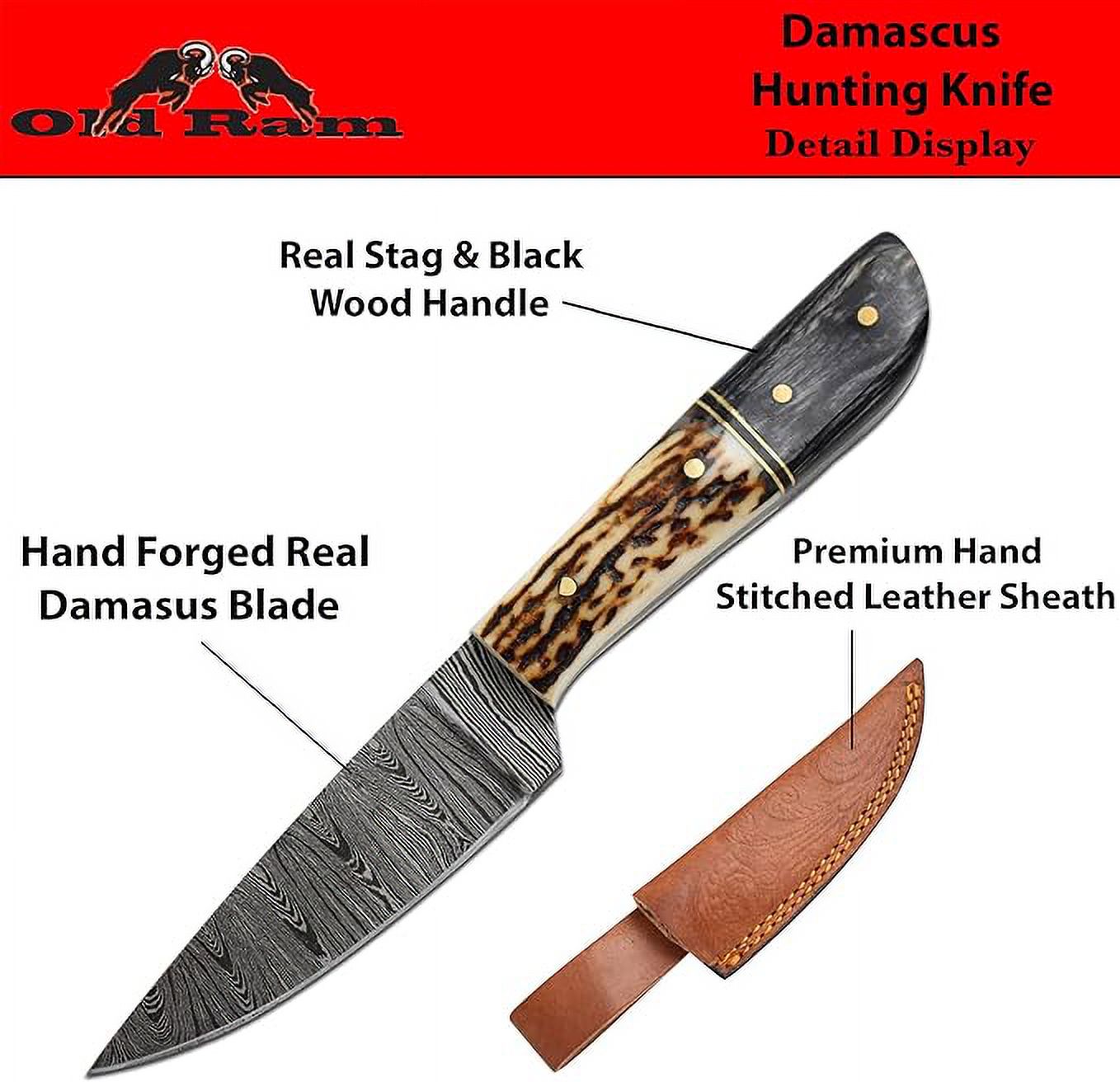 Old Ram 8" Stag And Wood Damascus Skinner Outdoor Hunting Knife