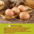 thumbnail image 4 of Alimento para gallinas SANSECT 2,3 kg de gusanos de la harina naturales, alto en proteína, 4 of 7