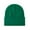 Green, variant on Unisex Satin Lined Beanie Men and Women Winter Warm Knitted Cuffed Silk Lined Slouchy Skull Cap Black