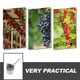 thumbnail image 4 of Metal Fruit Picker Head Iron Fruit Picker Tool Fruit Picking Tool Harvest Blueberries Picker Gardening Tools for Home Garden, 4 of 4