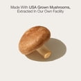 thumbnail image 4 of Lifecykel Shiitake Mushroom Extract 1oz, 4 of 7