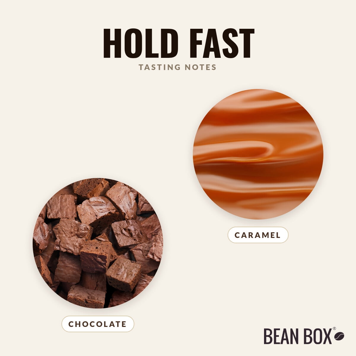 Hold Fast - Roasted by 8th & Roast Coffee Co. - Whole Bean Coffee - 2lb Bag