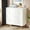 White & Gold, variant on Tribesigns Modern 2-Drawer Lateral File Cabinet, Large Storage Office Filing Cabinet, White and Gold