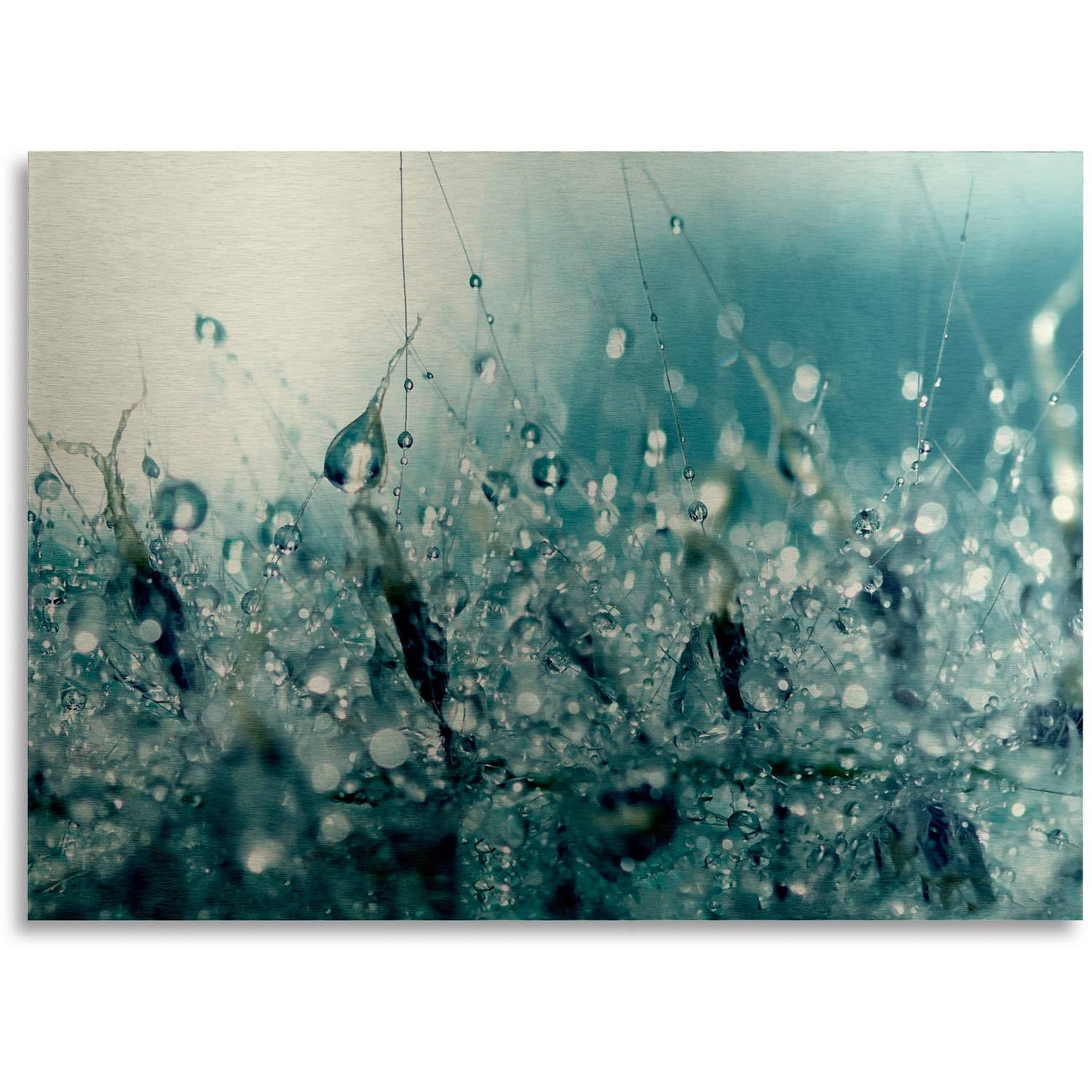 Beata Czyzowska Young 'Under the Sea' Floating Brushed Aluminum Art