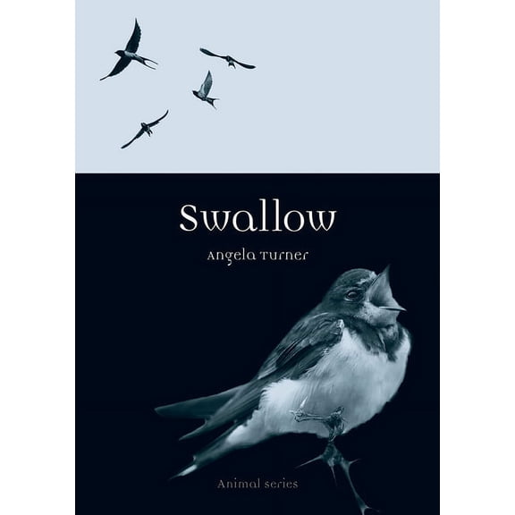 Animal: Swallow (Paperback)