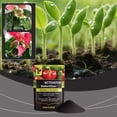 thumbnail image 1 of EGNMCR Soils Activator Is Suitable For A Variety Of Potted Plants To Supplement Nutrients For Daily Maintenance And Convenient Use Soil Activator, 1 of 9