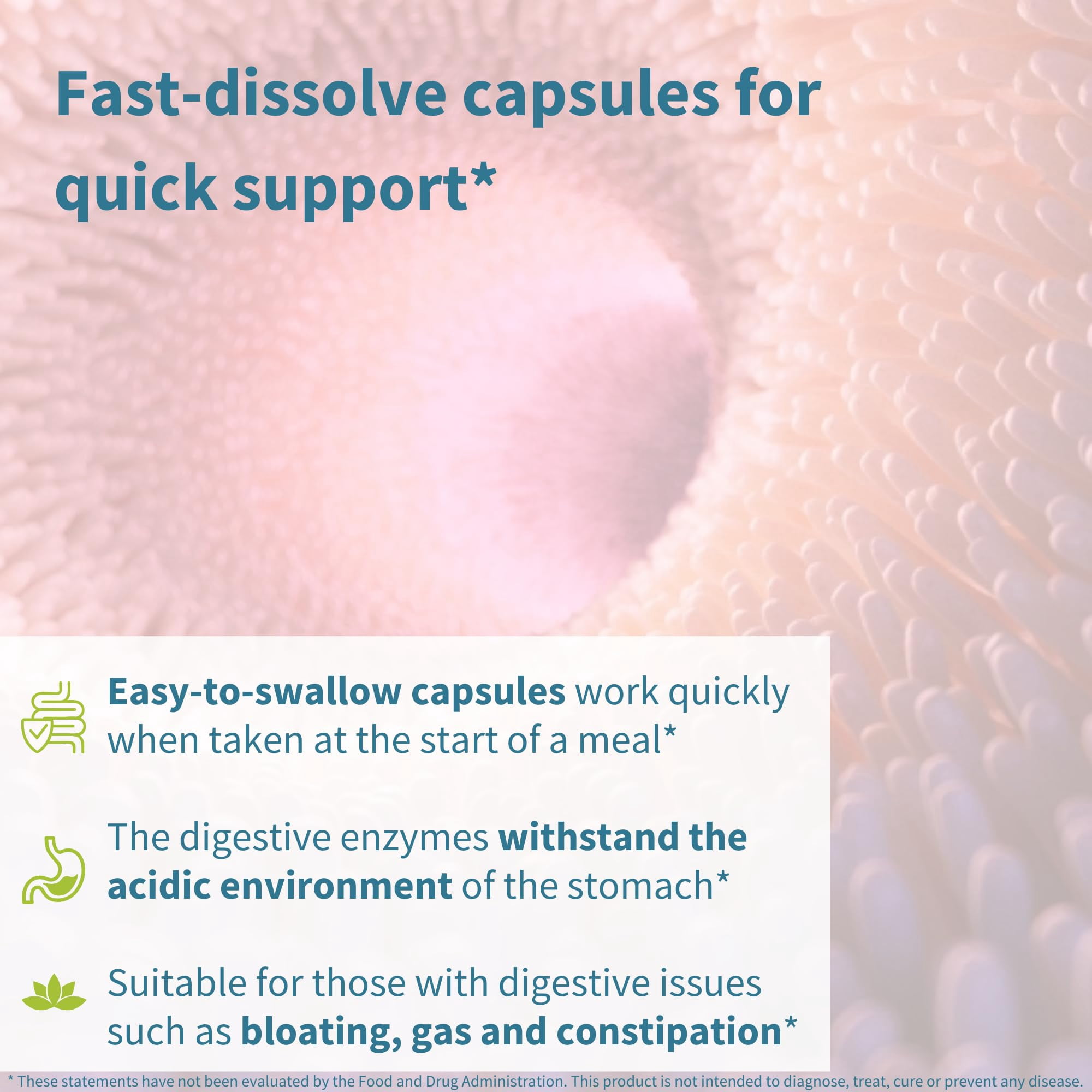 Igennus Fast Action Digestive Enzymes & Betaine HCl, 10 Broad Spectrum Enzymes with Protease, Lipase & Lactase, Papain & Bromelain, Plant-Based Vegan, Clean Label, for Women and Men, 90 Capsules