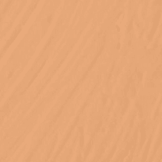 Medium Golden (medium tan with golden undertones)