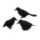 thumbnail image 5 of Cuervos de Halloween Macarena 3x Cuervos con plumas negras Estilo A, 5 of 8