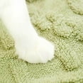 thumbnail image 5 of Rupoun Premium Pet Blanket Double Layer Thicken Dog Throw Soft Warm Plush Flannel Cat Bed Mat Protective Furniture Cover for Sleeping Relaxing Indoor Travel Portable Washable Green L 27.6x21.7 Inches, 5 of 9