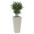 thumbnail image 1 of Maceta Cuadrada Alta Elly Decor 28 x 61 cm Color Blanco, 1 of 6