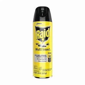 Raid Multi Insect Killer 7, 15 oz Indoor & Outdoor Spray