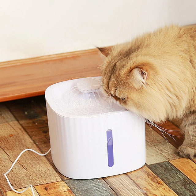 Cat Drinking Fountain with LED Light Indoor Electric Dog Cat Drinking Dispenser