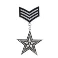 thumbnail image 3 of Uniforme Militar Unisex Yuyangstore Broche Insignia Pin Plata Antigua, 3 of 8