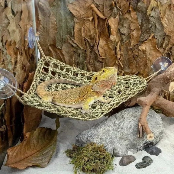 Bearded Dragon Tank Accessories Set: Reptile Habitat Decor with Climbing Hammock, Natural Wood Hideout