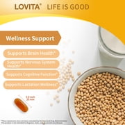 LOVITA Lecithin 1000mg – 35% Phosphatidyl Choline | Brain, Nerve & Lactation Support | Vegan, Non-GMO | 60 Softgels