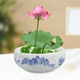 thumbnail image 6 of Blue and White Porcelain Flowerpot Plant Vase Pots Indoor Plants, 6 of 6