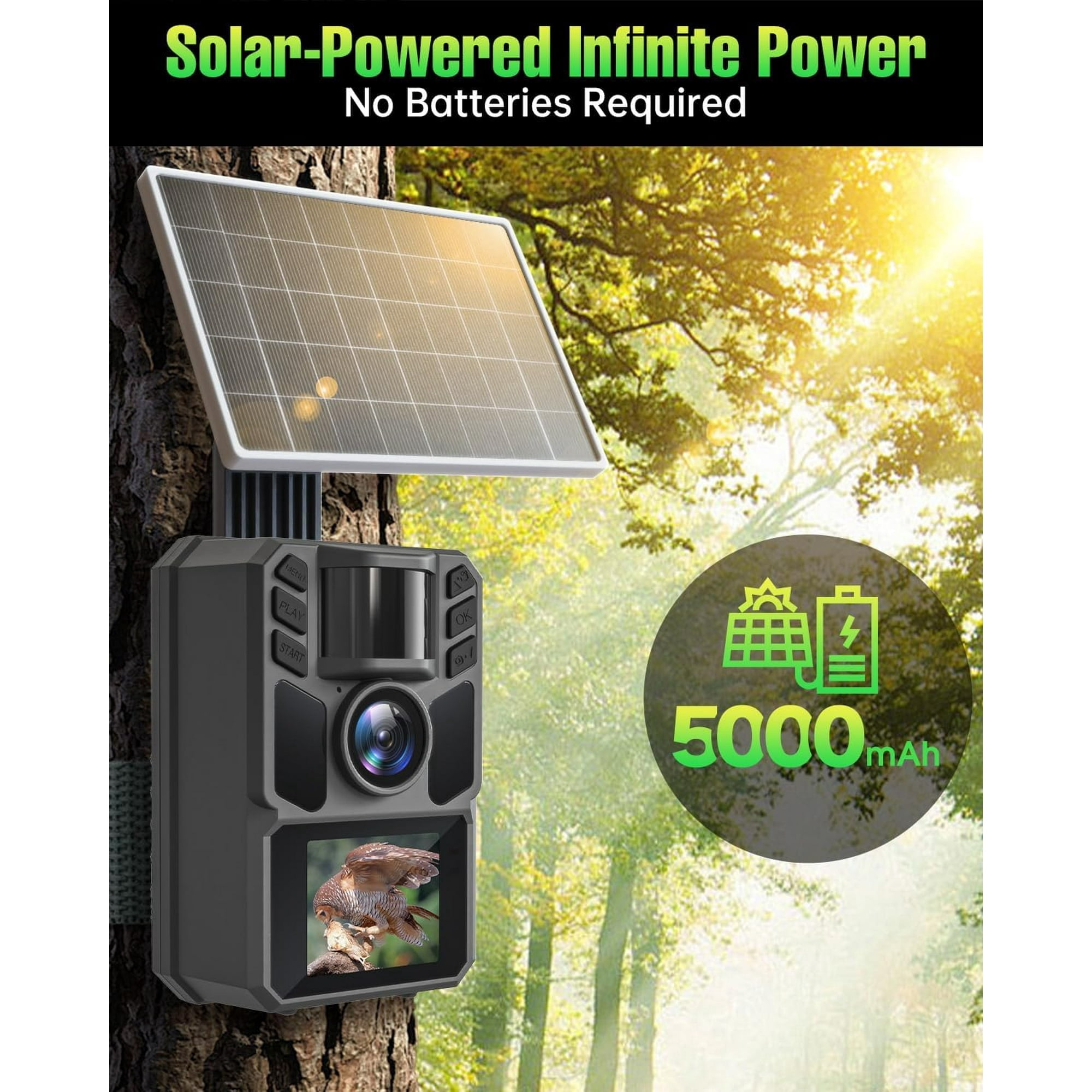 Trail Camera Solar Trail Cam - 4K 64MP Trail Cameras with Night Vision, IP67 Waterproof Camera for Deer Wildlife Monitoring Hunting with 64GB Memory Card