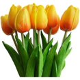 thumbnail image 1 of 10pcs Stunning Realistic Touch Pu Artificial Tulip Bouquet With Stem-yellow, 1 of 5