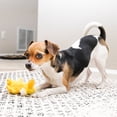 thumbnail image 3 of KONG® Dr.Noyz Dog Toy with Squeaker, Duck, Small for Dogs Up to 20 lbs, 3 of 6