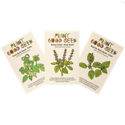 Holy Basil / Tulsi Seed Collection