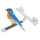 thumbnail image 4 of Soporte De Baño Para Loros, Fácil De Instalar, Diseño De Ventosa Para Percha De Baño Para Loros Resistente Para Varios Tipos De Pájaros, 4 of 7