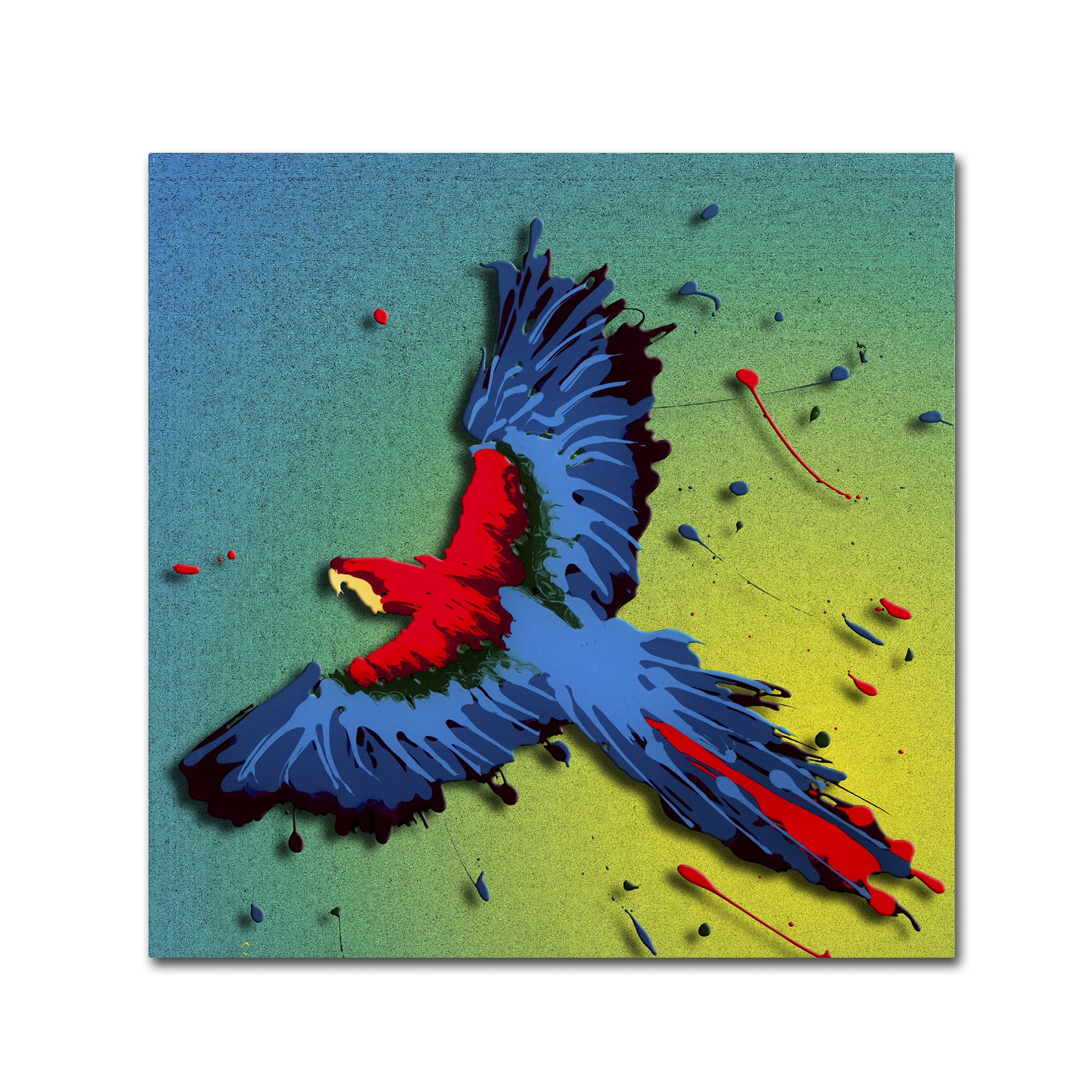 Trademark Fine Art Roderick Stevens 'Tropical Bird 1' 14 x 14 (RS1014-C1414GG)