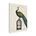 thumbnail image 4 of Trademark Fine Art 'Peacock Birdcage II' Canvas Art by Sue Schlabach, 4 of 4