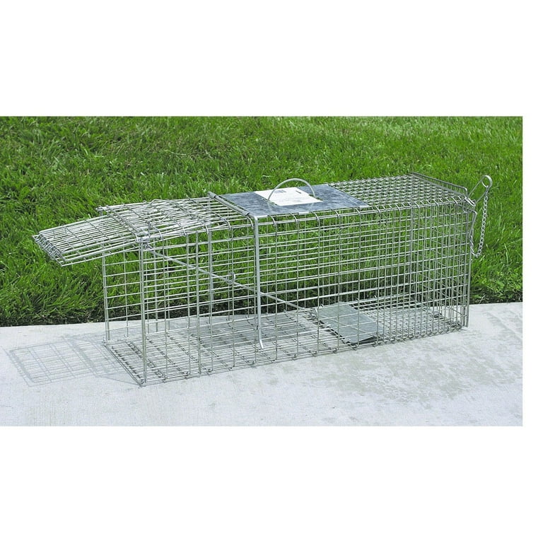 24 in Single Live Animal Trap by Farm Pro at Fleet Farm