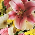thumbnail image 2 of Pretty Little Lillies Bouquet with Burlap - Farm Direct Fresh Cut Flowers - 2 Pack, 2 of 5