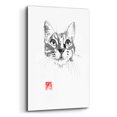 thumbnail image 2 of Epic Art 'Cat Face 2' by Pechane, Acrylic Glass Wall Art, 16"x24", 2 of 8