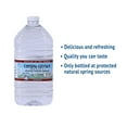 thumbnail image 7 of Crystal Geyser Alpine Spring Water, 1 Gallon Plastic Jug, 7 of 7