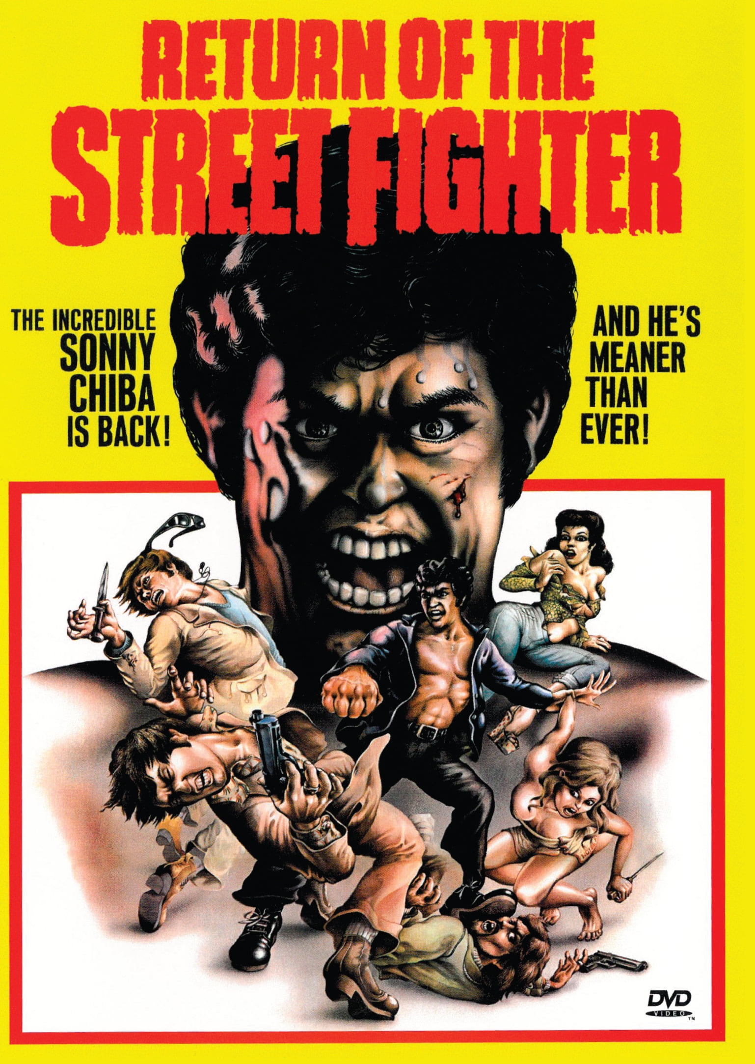 Checkered Ninja (DVD), Synergetic Distribut, Animation