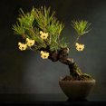 thumbnail image 4 of unbranded 20Ud Colgante Para Festival De Primavera Adorno China Buena Suerte, 4 of 8