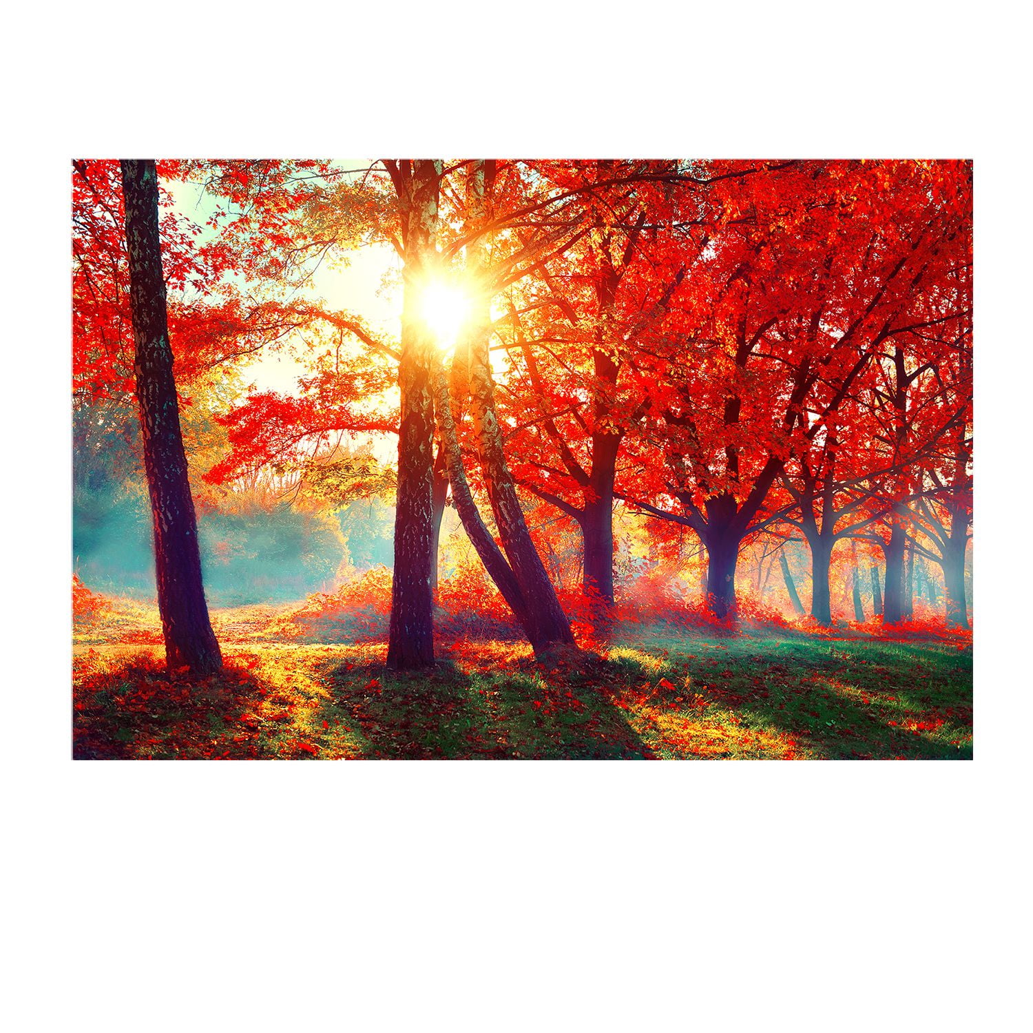 Startonight Mural Wall Art Orange Trees Nature Theme Photo Wallpaper 100 X 140 Walmart Com