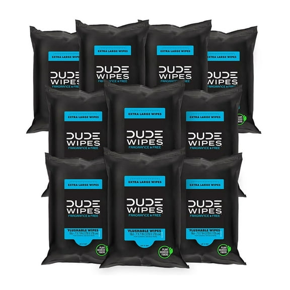 DUDE WIPES XL Travel Flushable Wipes, 10 ct., 180 wipes