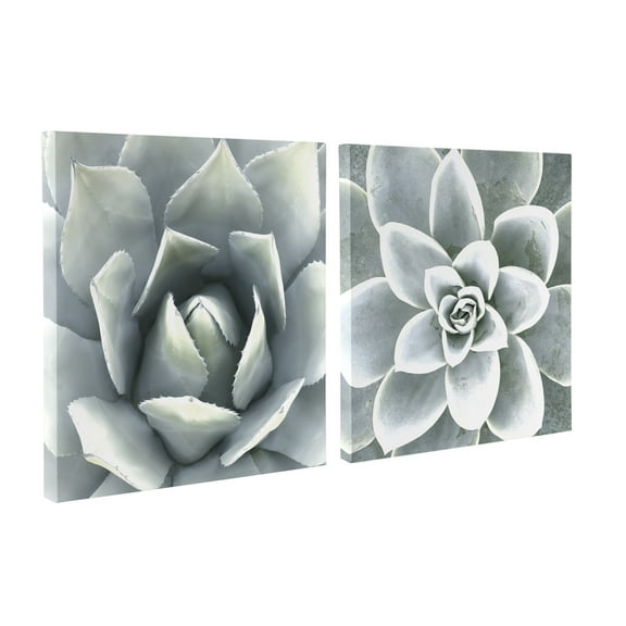 Kate and Laurel Soft Botanical Succulents Canvas Wall Art Set by the Creative Bunch Studio 2 Piece 20 x 20 Plant Art for Wall