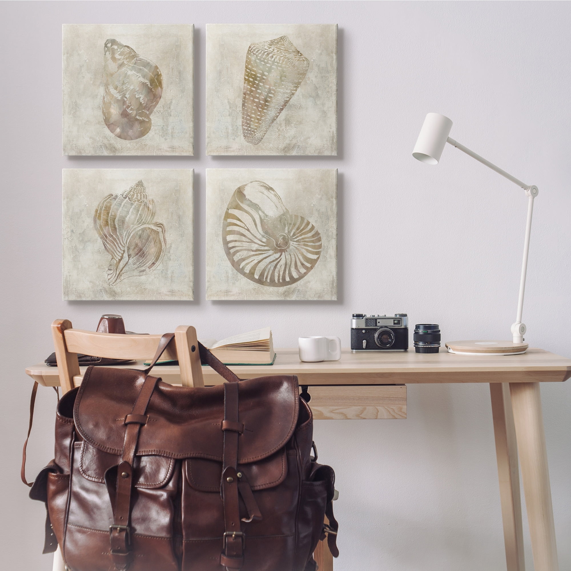 Stupell Industries Vintage Nautilus Seashells Soft Brown Patterned Aquatic Animals, 17 x 17, Design by ​Carol Robinson