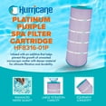 thumbnail image 3 of Hurricane HF8316-01P Platinum Purple Pool and Spa Filter Cartridge Replacement, 3 of 8