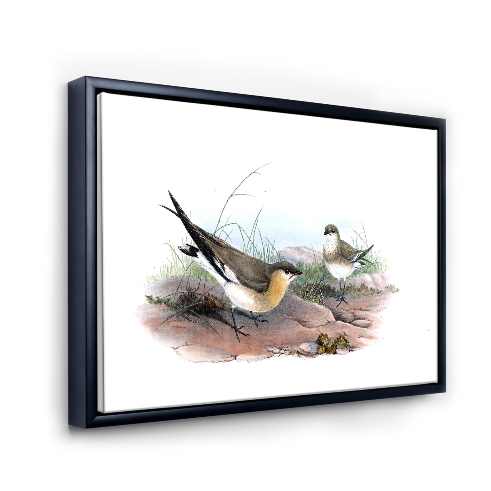Designart 'Ancient Bird Illustration II' Farmhouse Framed Canvas Wall Art Print